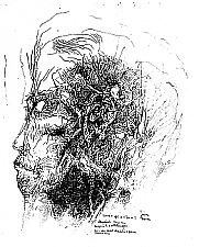 Meiendorfer Beitrag 7 (Das Gehr). Graphik von Jens Cords