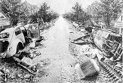 Jens Cords: Grngrtel (1971)