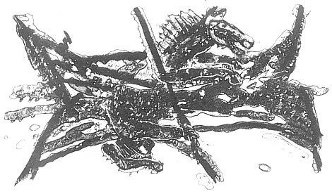 Oliver Bhm: Lithographie Seepferd I